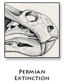 Permian Extinction